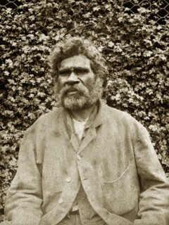 Aboriginal man from Queensland. Portrait of a middle-aged aboriginal man from the Queensland area.