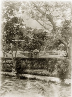 Port Officer's bungalow. A view across well-kept gardens looking towards a Port Officer's bungalow