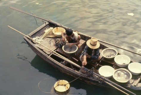 Hong Kong fishermen. Two fishermen aboard an open sampan collect their fresh catch in bowls on the