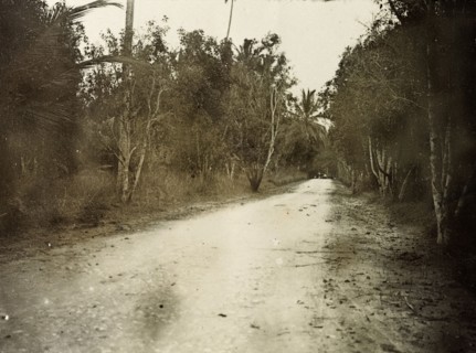 The road to Kampala. The 'road to Kampala', a track surrounded by trees leads away into the