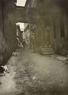 Zanzibar back street. A walkway crosses an unkempt, shady back street occupied by people and goats