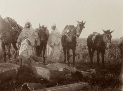 Loading up mules, Morocco. Two men load up their mules with large baskets before starting out on a
