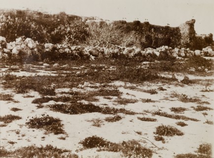 Ruin with storks. A Moroccan ruin in the desert. Almost invisible due to fading, the original