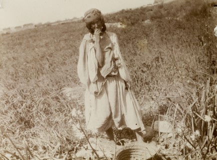 Woman fieldworker, Morocco. Outdoors portrait of a young woman in a field with a basket. Morocco,