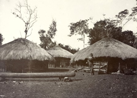 Thatched village huts, Kikuyu. Several round huts with thatched roofs are built closely together in