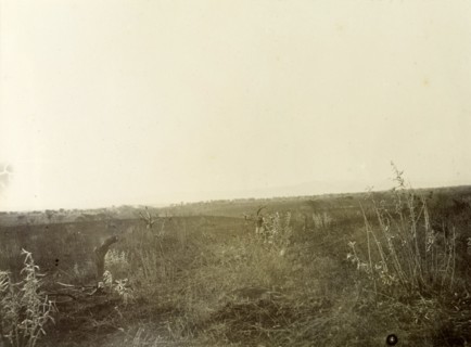 Typical Kenyan grasslands. Kenyan grasslands typical of the terrain Frederick Stanbury passed