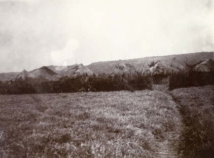 The 'zareeba' at Kavirondo. A rough pathway leads through a field into the thatched-roofed