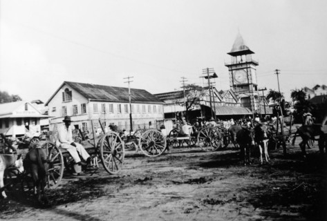 The market place, Janjanbureh. A busy market place crammed with horse-drawn carts. Janjanbureh,