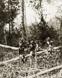 Young north Malaysian aborigines. A small group of young male aborigines from northern Malaysia sit