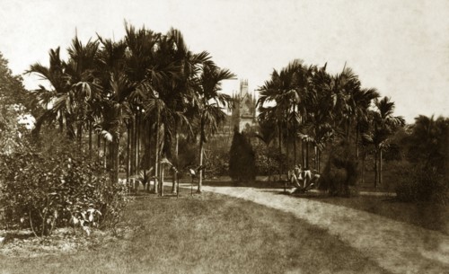 View from Eden Gardens. One of the towers belonging to the High Court of Calcutta (Kolkata) peeps
