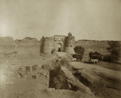 Ruined walls in Delhi. Cattle-drawn carts laden with hay stand outside the ruined walls in an old