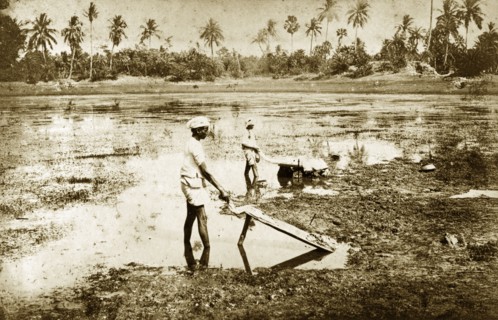 Washing at Ballygunge, India. Indian men wash clothes on wooden washing boards propped up in the