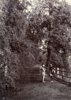 Road in Mussoorie, India. Two men chat on a roadside surrounded by tall trees at a mountain hill