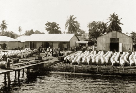 Waterside factory of the African Oil Nuts Company. Waterside factory and warehouses of the African