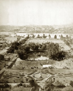 Botanical Gardens, Brisbane. View of the Botanical Gardens from the top of Parliament House.