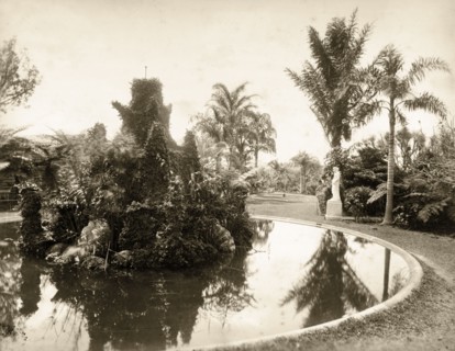 Water feature, Brisbane. A pool decorated with an ivy-clad water feature, probably the Brisbane