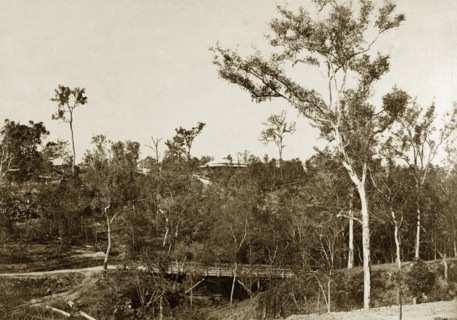 Colonial homestead, Queensland. Distant view of a colonial homestead on a rise, glimpsed through