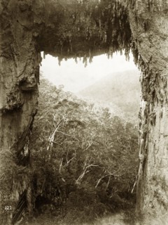 Carlotta Arch at the Jenolan Caves. Carlotta Arch at the Jenolan Caves located in the Blue