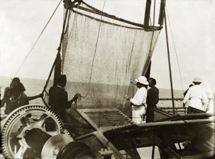 Trawler nets on RIMS 'Investigator'. Officers aboard RIMS 'Investigator' prepare a deep sea trawler