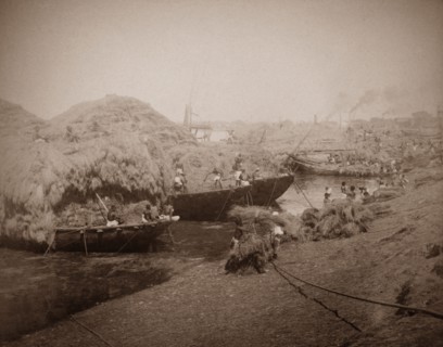 Loading barges at the Hooghly River. Workers load barges with what appears to be either straw or