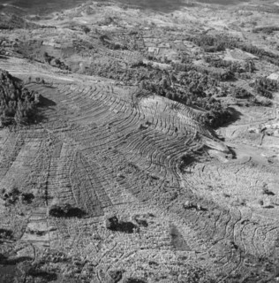 Kikuyu Reserve from the air. Aerial view taken from a Kenya Police Reserve (KPR) aircraft showing