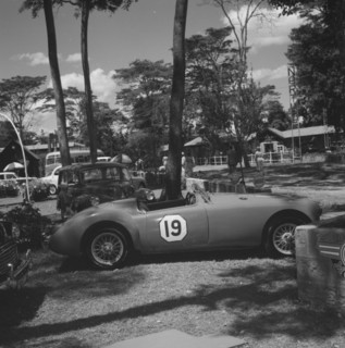 Sports car under shade. An open-top sports car sits beneath shady trees surrounded by vehicles at