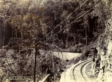 A 'work train', Jamaica. A steam train transports freight cars loaded with male workers to a