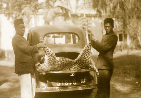 Panther kill, Bangladesh. Two servants display the body of a dead panther, killed during a game