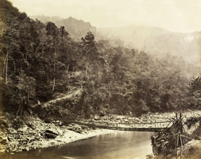 Bamboo rope bridge. A bamboo rope bridge suspended across the Rungeet River. Darjeeling, India,