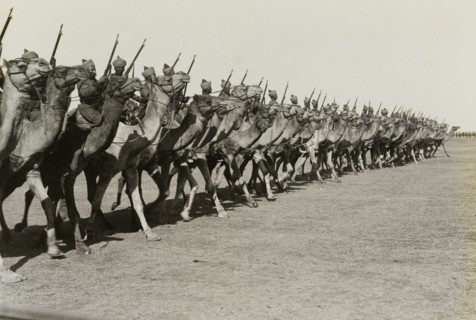 Camel parade at Delhi. March past of an armed camel corps at the Coronation Durbar, held in honour