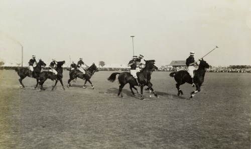 Coronation Durbar Polo Tournament. Horses and their riders in the final match of the Coronation