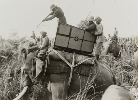 King George V finishes off a wounded tiger. King George V (r.1910-36) finishes off a wounded and
