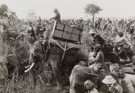 King George V surveys the hunt. King George V (r.1910-36) leans from the howdah on the back of his