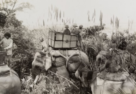 King George V in the jungle. King George V (r.1910-36) and his royal aide ride through the jungle