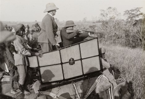 King George V takes aim. King George V (r.1910-36) aims his rifle at a tiger during a hunt hosted