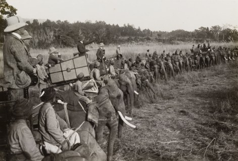 Portion of the ring'. A royal hunting party in Chitwan Valley, hosted by the Maharajah of Nepal for