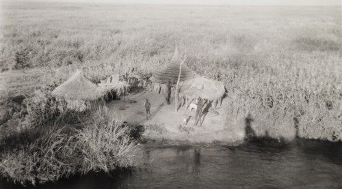 Settlement in the sudd. A tiny settlement consisting of round, thatched huts, located on a