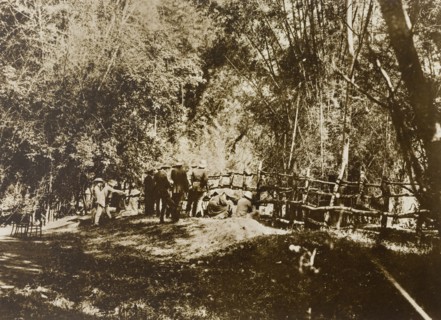 Progress of the drive. The Maharajah of Mysore (Krishna Raja Wadiyar IV, 1884-1940) and his hunting