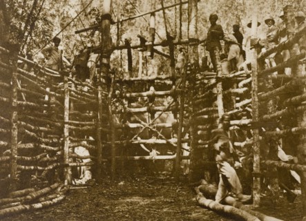 The stockade gate. The gate to a fortified stockade, built to contain a herd of wild elephants