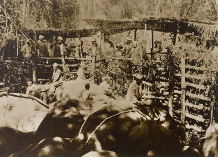 Maharajah and guests at the stockade. The Maharajah of Mysore (Krishna Raja Wadiyar IV, 1884-1940)