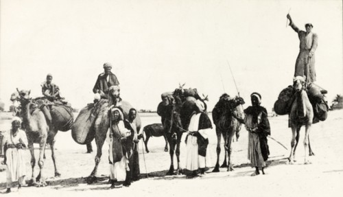 Bedouins in Egypt. A group of traditionally dressed Arab bedouins pose for the camera, mounted on