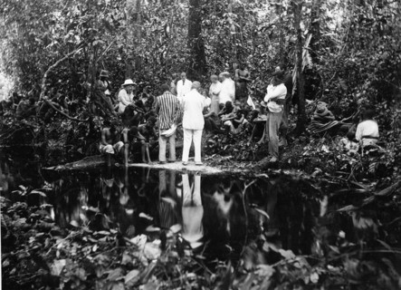 Forest prayer meeting. European and Congolese Christians are absorbed in prayer at a meeting on the
