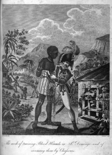 A 'chasseur' with bloodhounds. A uniformed 'chasseur' (a hunter in the French infantry) shows a