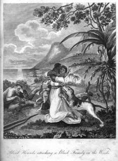 Family attacked by bloodhounds. A Haitian family is attacked by a pack of bloodhounds during the