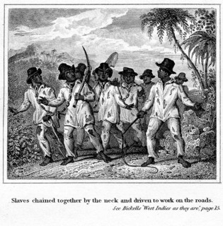 Caribbean slave gang. Several slaves are chained together by the neck in pairs and 'driven to work