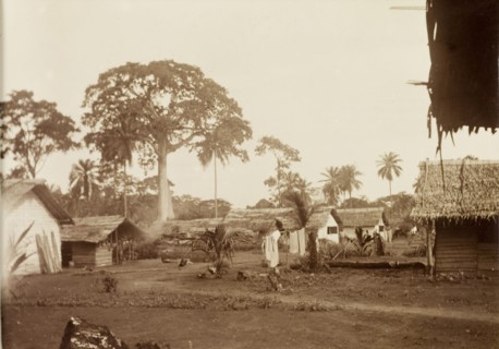 A village on the island of Bioko. View of a village on the island of Bioko, showing a line of