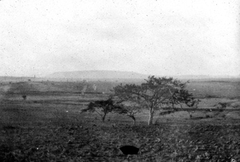 South African landscape. Acacia trees stud a wide, open landscape. The long, flat mountain on the