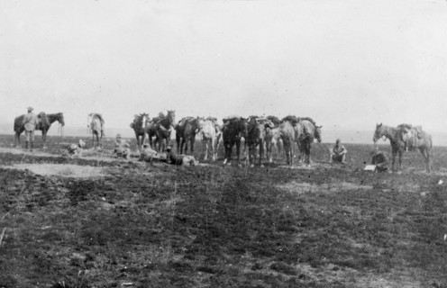 A cavalry unit rests, South Africa. A group of officers from a British Army cavalry unit pause for