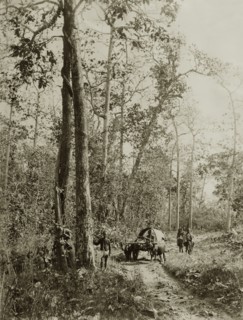 The Morgandine Pass. A covered cart pulled by bullocks makes its way along a rough track at the