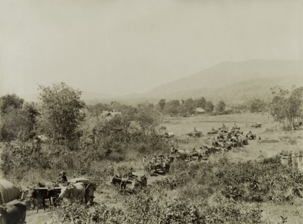 Arrival of Commissariat carts. Bullock-drawn Commissariat carts laden with food and provisions